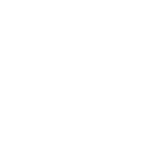 icon safe